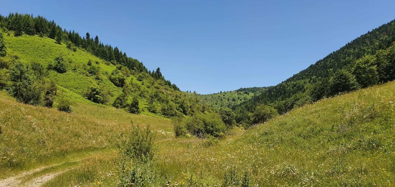 Villa Vrbena Eksteriør bilde